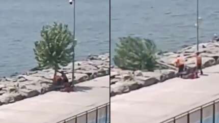 İBB'den Florya'da ağaç kıyımı