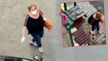 Sokak kedilerinin mamasını çöpe attı