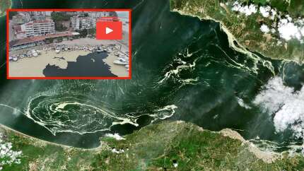 Marmara Denizi'ni 'deniz salyası' kapladı