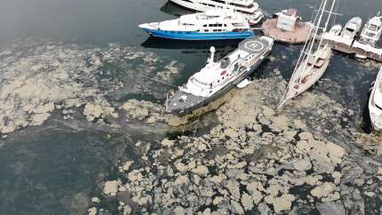 Marmara Denizi'nin dibi de salya ile kaplanmaya başlandı