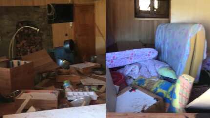 Rize’de aç kalan ayı eve girdi