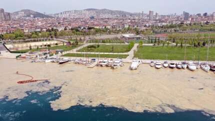 Marmara'yı saran deniz salyası ABD basınında