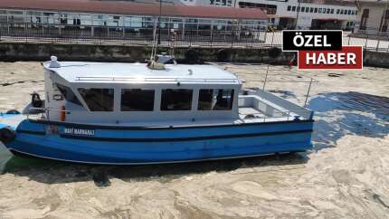 Deniz salyası Marmara Denizi'ni esir aldı!