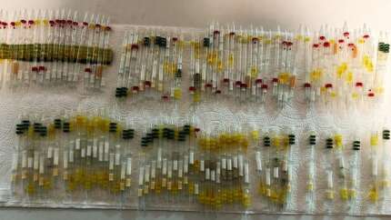 Sarp Sınır Kapısı'nda 230 tüp arı ve kobra yılanı zehri yakalandı