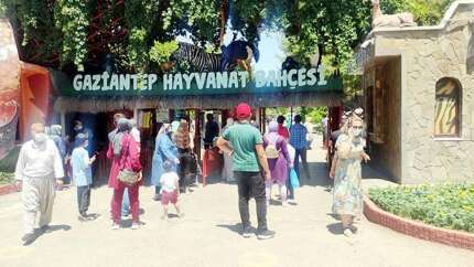 Gaziantep Hayvanat Bahçesi'nde aslan kafesinden kaçtı!