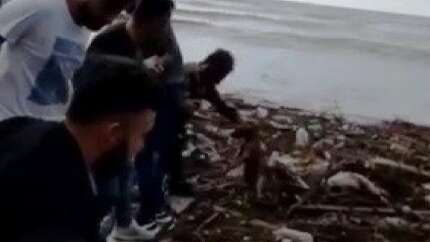 Selde mahsur kalan köpeği el ele zincir yaparak kurtardılar