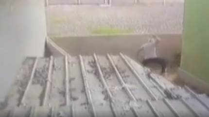 Köpeği sopayla öldüresiye dövmüştü! Cezası belli oldu