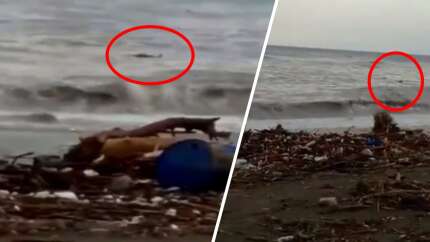 Kastamonu'dan korkunç görüntüler! "Hep kıyıya vurmuş cesetler var şu an"