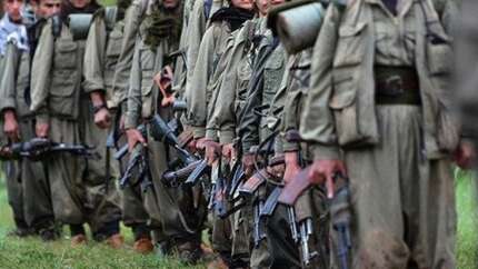 PKK'nın eylem gerçekleştiren mensuplarını hayvan isimleriyle şifrelediği belirlendi