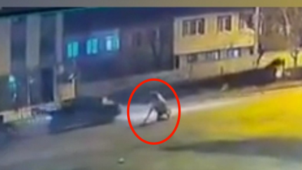 Başıboş atlar yola çıktı! Zincirleme kaza kamerada