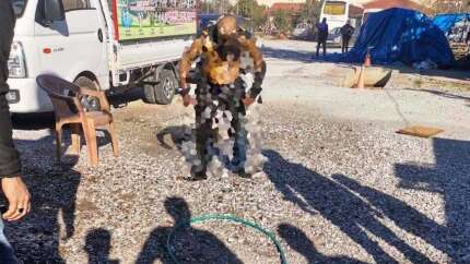 Zabıta ekipleri şaşkına döndü: Her yeri yandı ama derdini anlatmaya devam etti