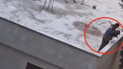 Yavru köpeğe akılalmaz işkence! Önce dövdü, sonra çatıdan attı