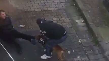Güngören’de pitbul dehşeti! Köpeğin saldırdığı genci zor kurtardılar