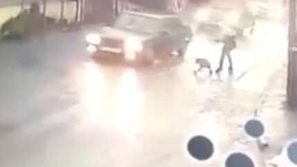 İstanbul'un göbeğinde pitbull dehşeti: Tasmasından kurtuldu, çocuğa saldırdı
