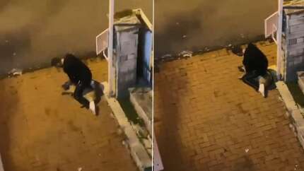 Köpeği yere yatırarak boğmaya çalıştı! O anlar kamerada...