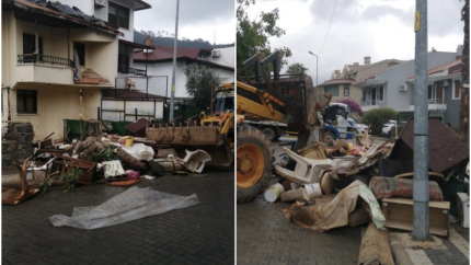 Evinden çok sayıda kedi ve köpek ölüsü çıkan kadın akıl hastanesine sevk edildi