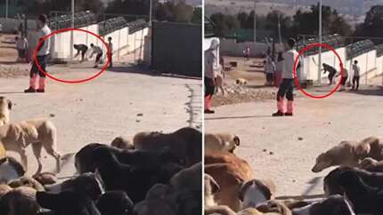 Konya'da köpeği kürekle öldüren caniler için istenen ceza belli oldu! 'Can dostumuz' vurgusu...
