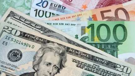 Merkez Bankası'nın faiz kararı sonrası dolar ve euro'da son durum!