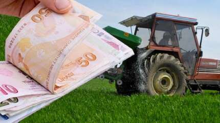 Tarım ve Orman Bakanlığı tutarları açıkladı: İşte çiftçi ödemeleri