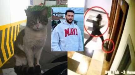 Kedi Eros'u canice katleden İbrahim Keloğlan hakkında flaş gelişme: Yeniden yargılanacak