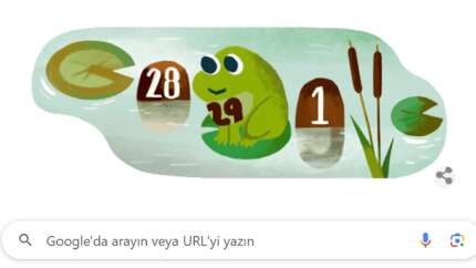 Google'dan 29 Şubat artık gün doodle geldi...