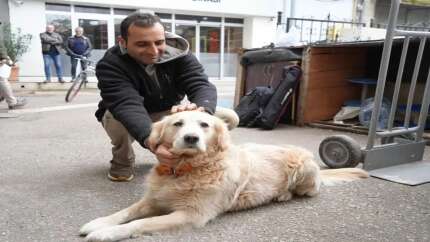 Köpeğin doktora havlaması sahibine 700 bin TL'ye patladı