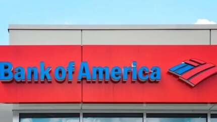 Bank of America'dan TL çağrısı