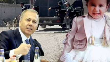 Sokak köpekleri toplatılıyor; Konya'daki vahşet bardağı taşırdı Bakan Yerlikaya düğmeye bastı