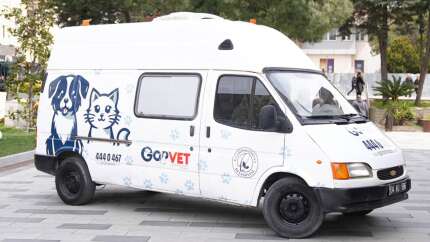 Sokak hayvanları için mobil veteriner: GOPVET yola çıktı
