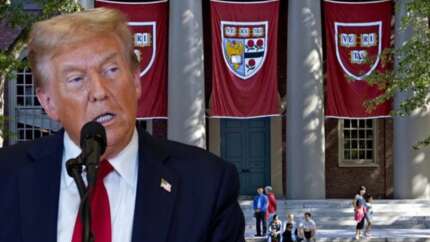 Beyaz Saray'dan Harvard’a fon darbesi: Harvard’lı LGBTQ mezunlarına değil, tesisatçıya ihtiyaç var