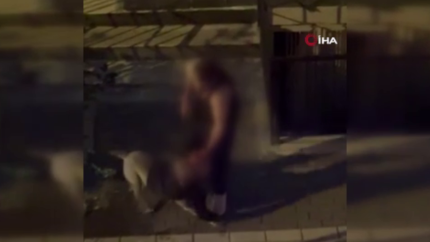 Bahçelievler’de dehşet anları! Pitbull kendi sahibine saldırdı: Kolunu ısırdı, bırakmadı