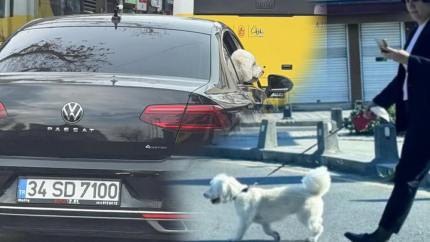 CHP’li Başkan Sinem Dedetaş aracını köpeğine tahsis etti! "Milletle dalga geçiyorlar"