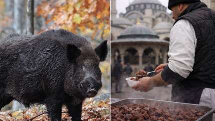 Aydın'da domuz eti skandalı! Babasının hayrına domuz etli kavurma mı dağıttı? Valilikten açıklama geldi