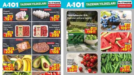 A101 14-17 Mayıs Tazenin Yıldızları Kataloğu yayımlandı