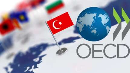 Küresel kriz ekonomik büyüme oranlarını düşürüyor