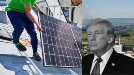 Trump'ın hamlesi güneş enerjisini vurdu! Yapılan yatırımlar yılın ilk üç ayında yüzde 27 geriledi