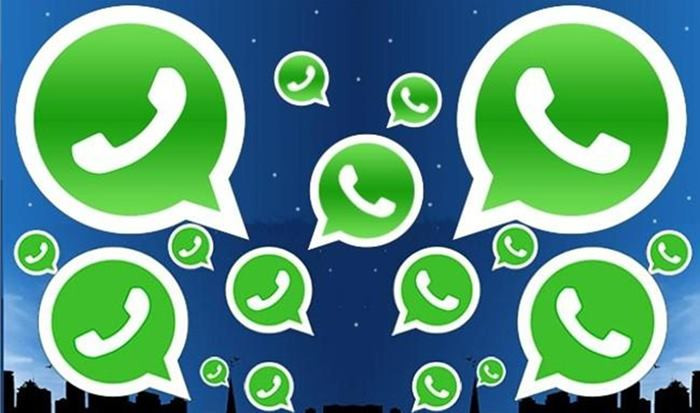 081120161426164166350_3.jpg
