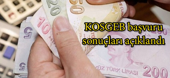 KOSGEB_bavuru_sonular_akland