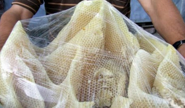 Peri balı nedir? Hangi hastalıklara iyi gelir?