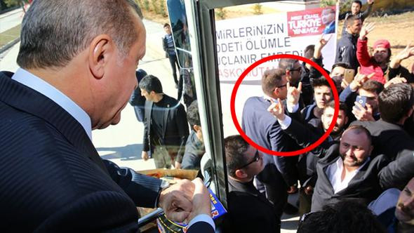 bozkurt