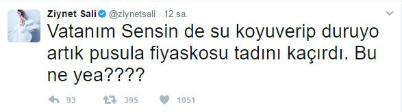 ziynet