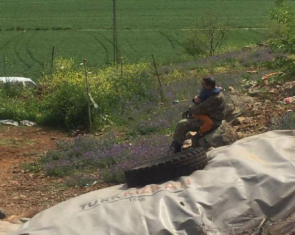 seitkardes