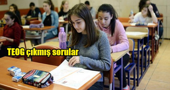 teog