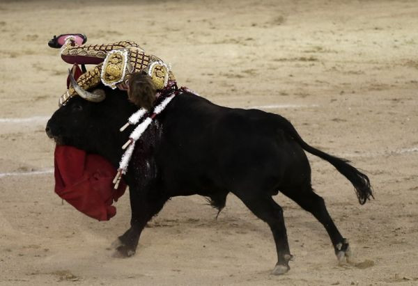 matador2