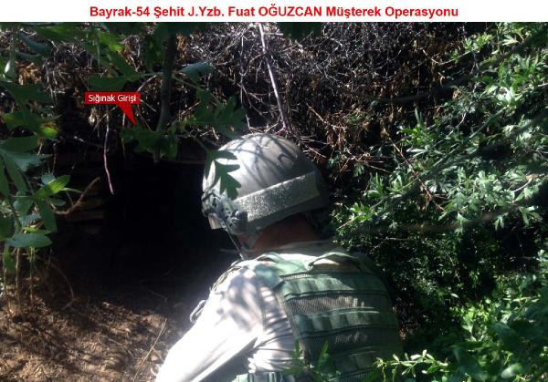 lice_operasyon
