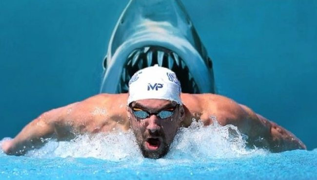 Michael Phelps, k&ouml;pek balığı ile yarıştı.