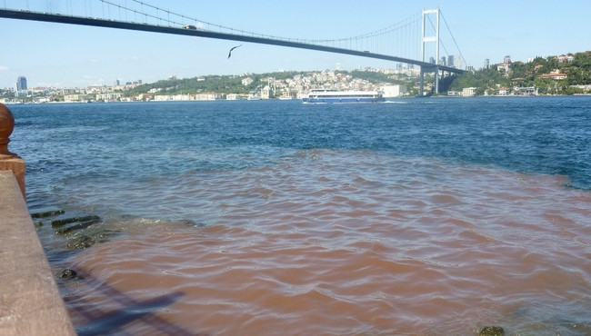 İstanbul Boğazı kana b&uuml;r&uuml;nd&uuml;!