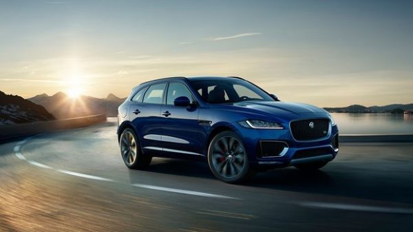 jaguar