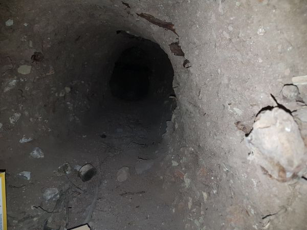tAnel1