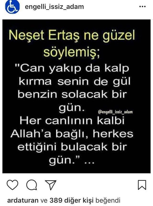 arda_p